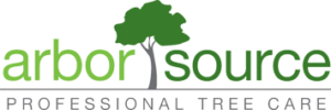 arbor source tree care
