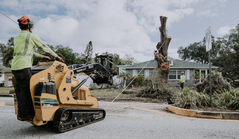 Tree Removal